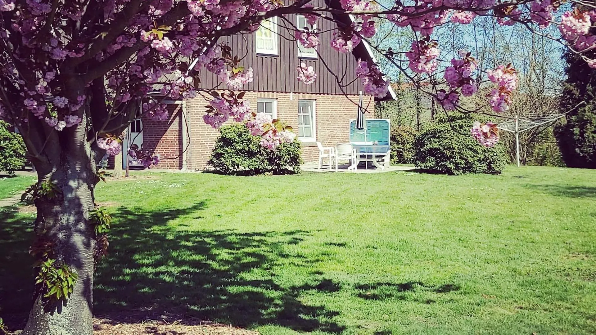 Apartment Appartement Altes Land Jork bei HH Deutschland